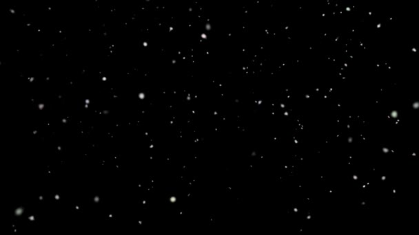 Christmas Snow Falling Black Green Screen Background — Stockvideo