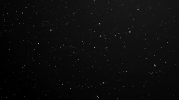 Christmas Snow Falling Black Green Screen Background — Wideo stockowe