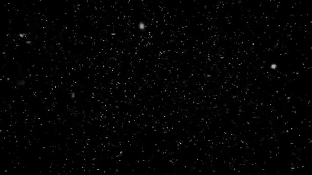 Christmas Snow Falling Black Green Screen Background — Video