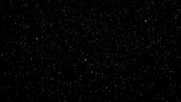 Christmas Snow Falling Black Green Screen Background — Wideo stockowe