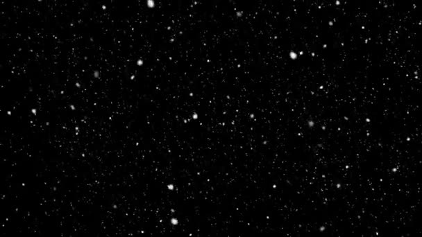 Christmas Snow Falling Black Green Screen Background — Stockvideo