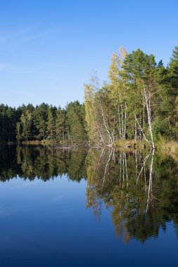 Gölde bir yansıması ile peyzaj