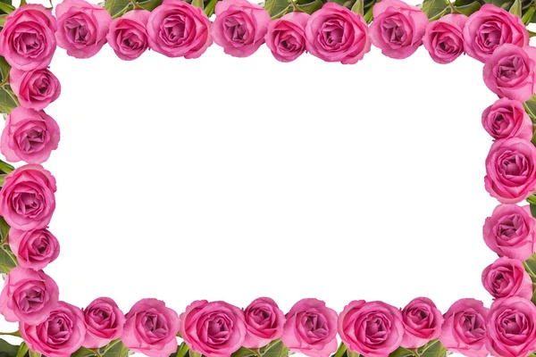 Frame made of beautiful pink roses, isolated on white — Stock Photo, Image
