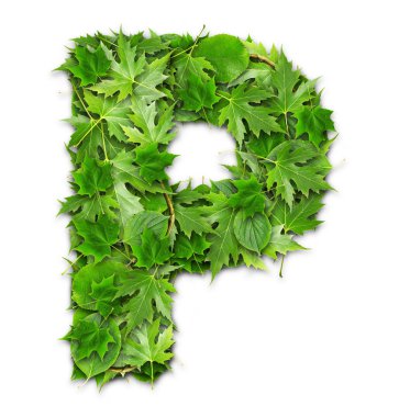 Yeşil teknolojileri