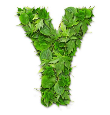 Yeşil teknolojileri