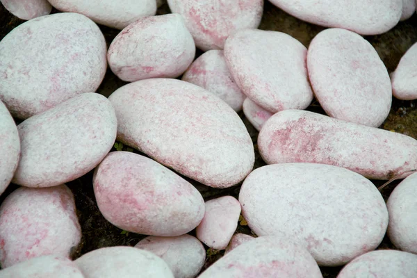 Close up of a pebbles — Stock Photo, Image