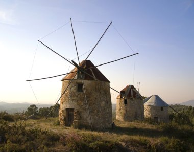 paslı bir yel değirmeni, penacova, Portekiz