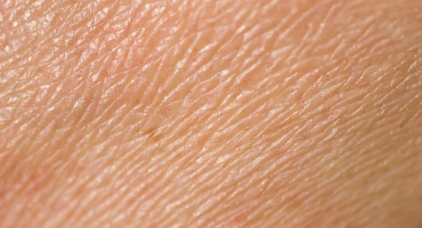 Human skin — Stock Photo, Image