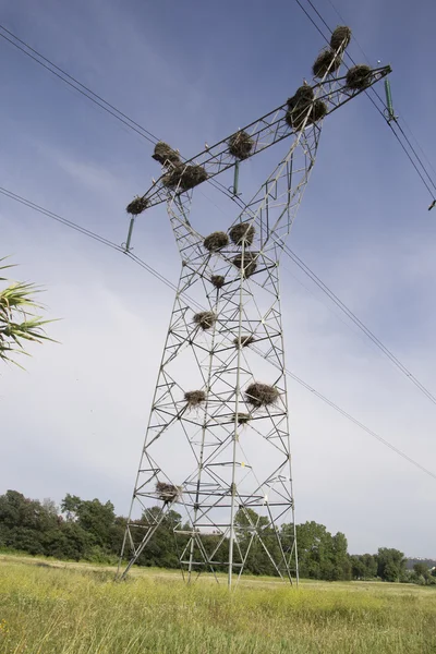 Elektrik direği Telifsiz Stok Imajlar