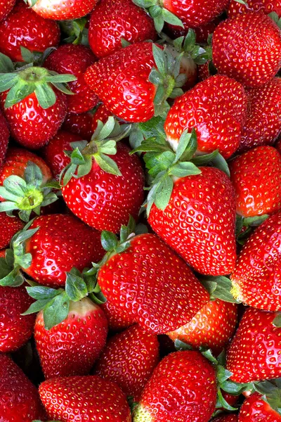 Aardbeien — Stockfoto