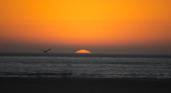 SUnset ที่ชายหาด — ภาพถ่ายสต็อก