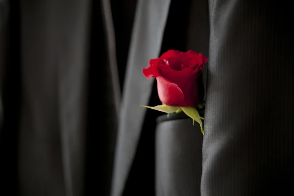 Groom with rose on the jacket — Stock Photo, Image