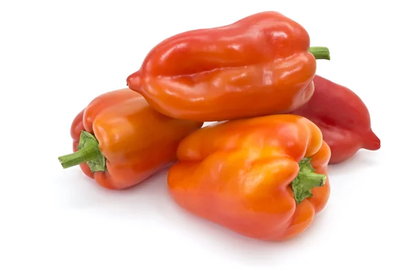 Fresh colorful peppers on white — Stock Photo, Image