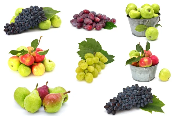 Conjunto de frutos frescos autónomos isolados sobre branco — Fotografia de Stock