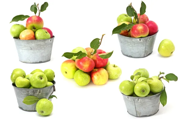 Taze elma üzerine beyaz izole kümesi — Stok fotoğraf