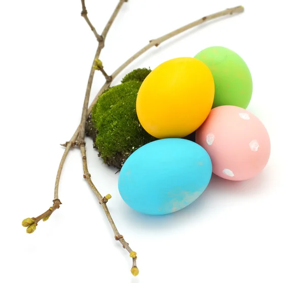 Easter eggs with moss — Stock Photo, Image