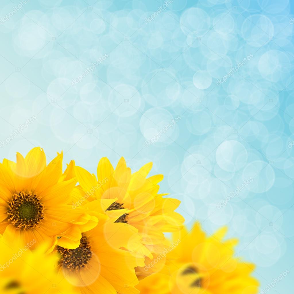 summer flower background