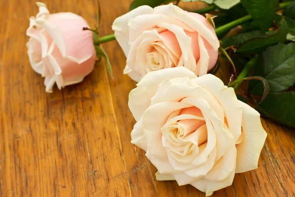 Bright white roses — Stock Photo, Image