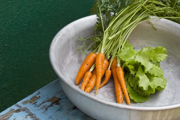 Zanahorias frescas con hojas y lechuga — Foto de Stock