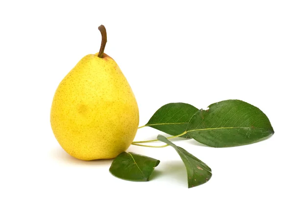 Färska päron med blad — Stockfoto