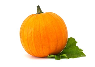 taze kabak üzerine beyaz izole yaprakları ile