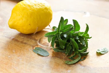 taze organik nane ve limon