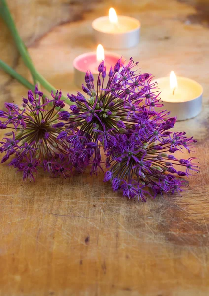 木製のテーブルにネギの新鮮な花 — ストック写真
