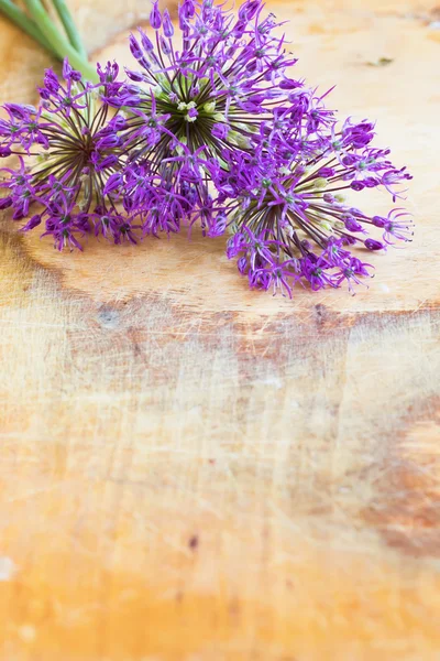 Fresh flowers of allium on wooden table — Stock Photo, Image