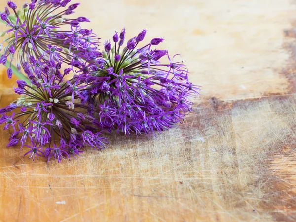 Fiori freschi di allium su tavola di legno — Foto Stock