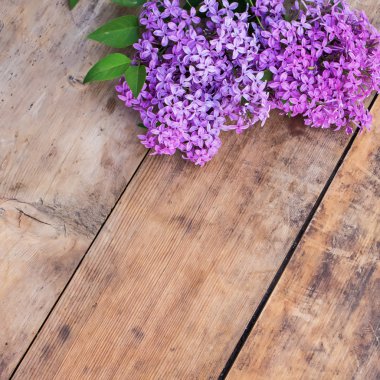 ahşap zemin üzerinde taze leylak