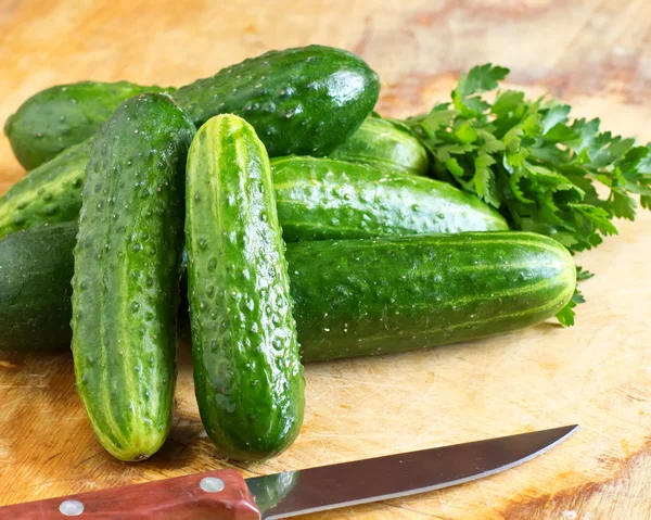 Fresh cucumbers — Stock Photo, Image