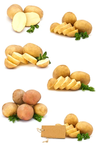 Potatis på vit bakgrund — Stockfoto