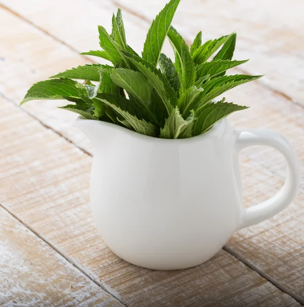 Fresh organic mint — Stock Photo, Image