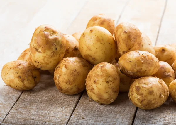 Potatis bara plockas från marken — Stockfoto