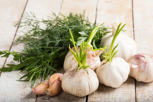 Garlic and herbs on wooden background — Stock Photo, Image