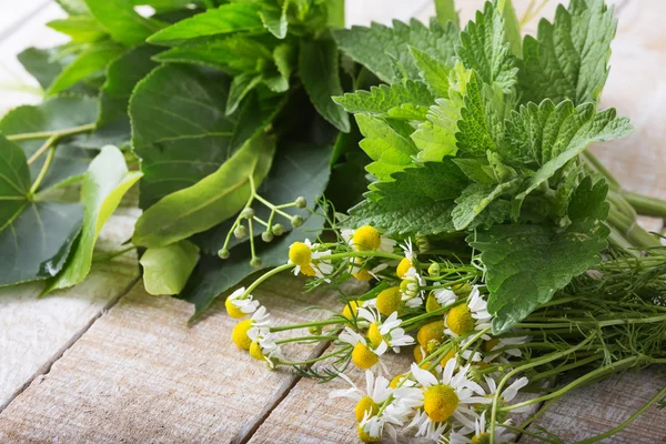 Fresh herbs for tea — Stock Photo, Image