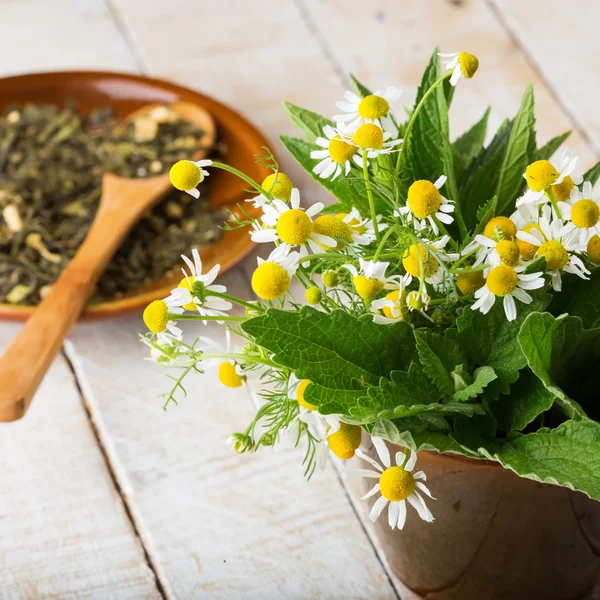 Feuilles fraîches de mélisse, camomille, menthe pour le thé — Photo