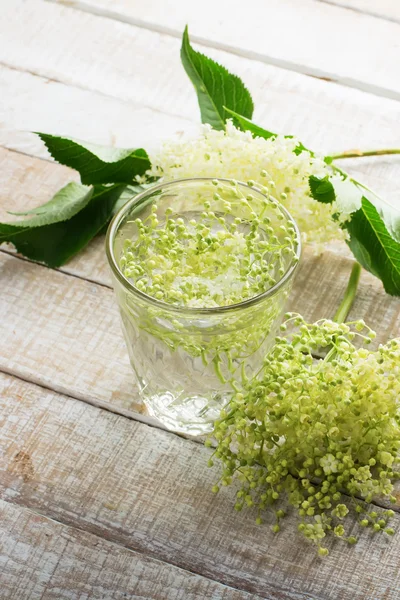 Fresh sambucus juice — Stock Photo, Image