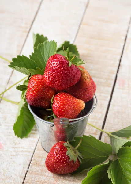 Fresh strawberry — Stock Photo, Image