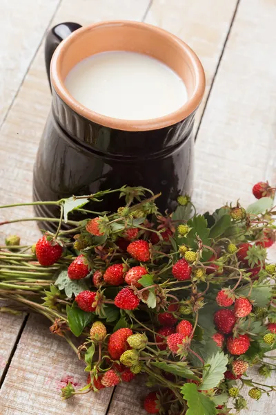 Morango selvagem fresco e leite em jarro — Fotografia de Stock