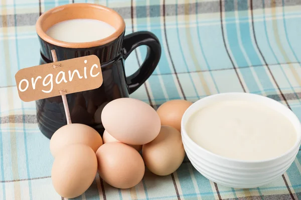 Dairy products - milk, sour cream, eggs.Tag with word organic. — Stock Photo, Image