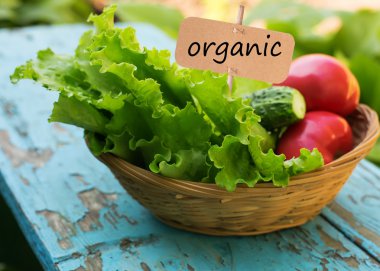 taze organik salata, domates, salatalık kova