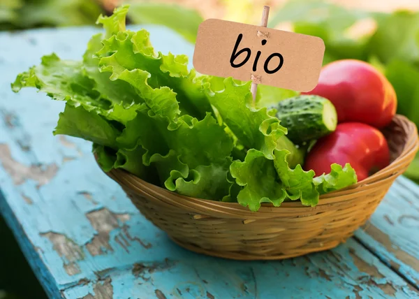 Salada orgânica fresca, tomate, pepino em balde — Fotografia de Stock