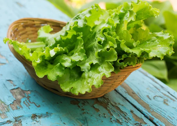 Tuore salaatti ämpärissä — kuvapankkivalokuva