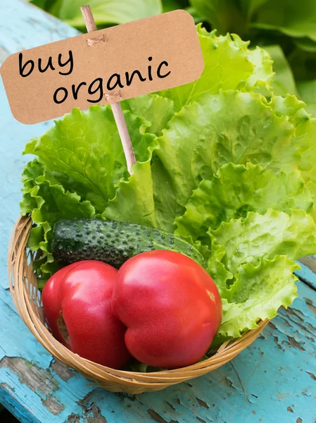 Frische Bio-Tomate, Salat auf Holzboden — Stockfoto