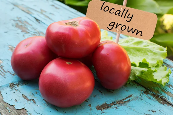 Verse organische tomaat, sla op houten achtergrondkleur — Stockfoto