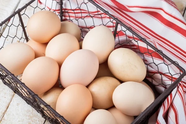 Verse biologische eieren — Stockfoto