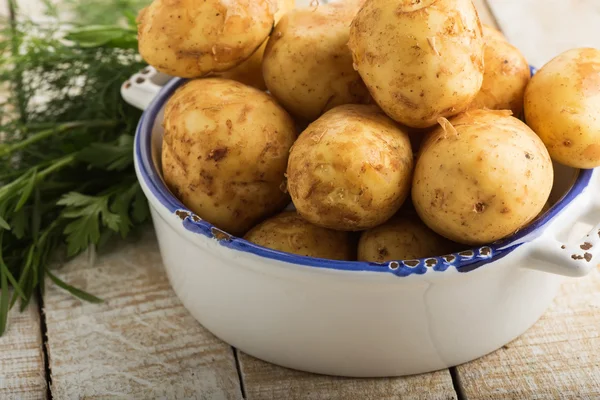 Unga potatis — Stockfoto