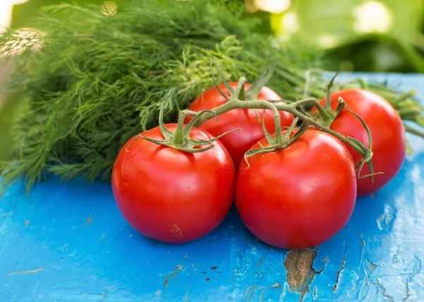 Fresh organic tomatoes and fennel — Stock Photo, Image