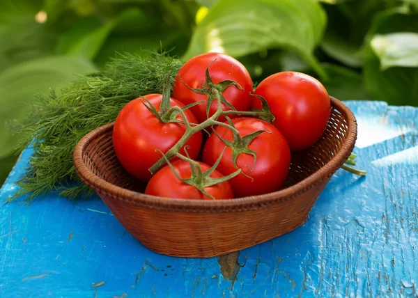 Ekologiczne pomidory świeże i kopru włoskiego — Zdjęcie stockowe